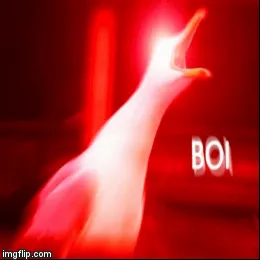 Inhaling Seagull