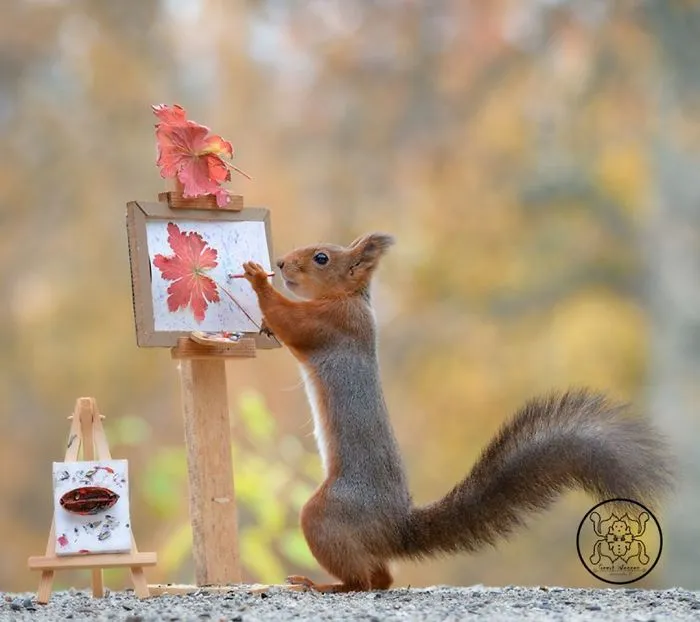 I Followed Squirrels Daily With My Camera For 6 Years And Here Are 50 Of My Best Photos