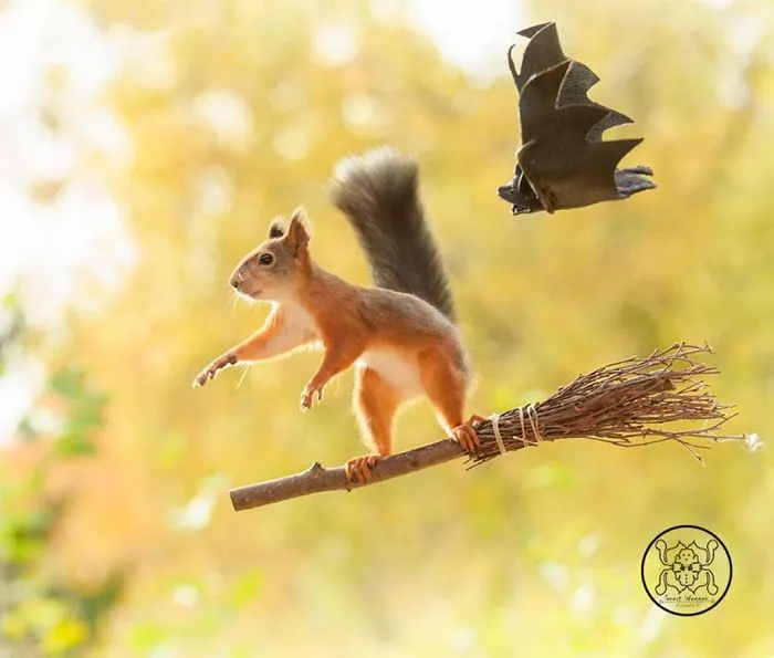 I Followed Squirrels Daily With My Camera For 6 Years And Here Are 50 Of My Best Photos