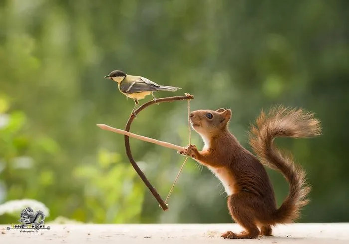 I Followed Squirrels Daily With My Camera For 6 Years And Here Are 50 Of My Best Photos