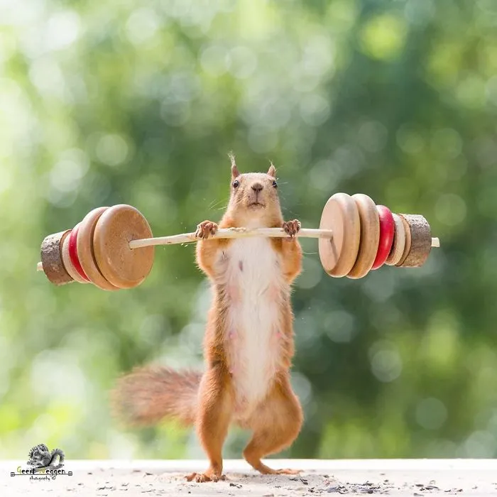I Followed Squirrels Daily With My Camera For 6 Years And Here Are 50 Of My Best Photos