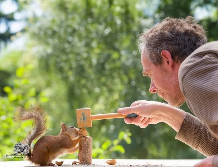 I Followed Squirrels Daily With My Camera For 6 Years And Here Are 50 Of My Best Photos