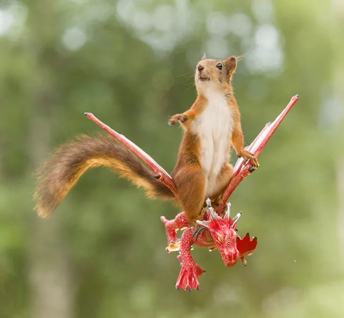 I Followed Squirrels Daily With My Camera For 6 Years And Here Are 50 Of My Best Photos