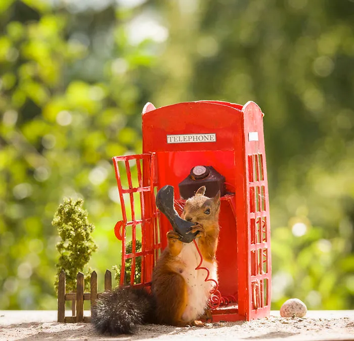 I Followed Squirrels Daily With My Camera For 6 Years And Here Are 50 Of My Best Photos