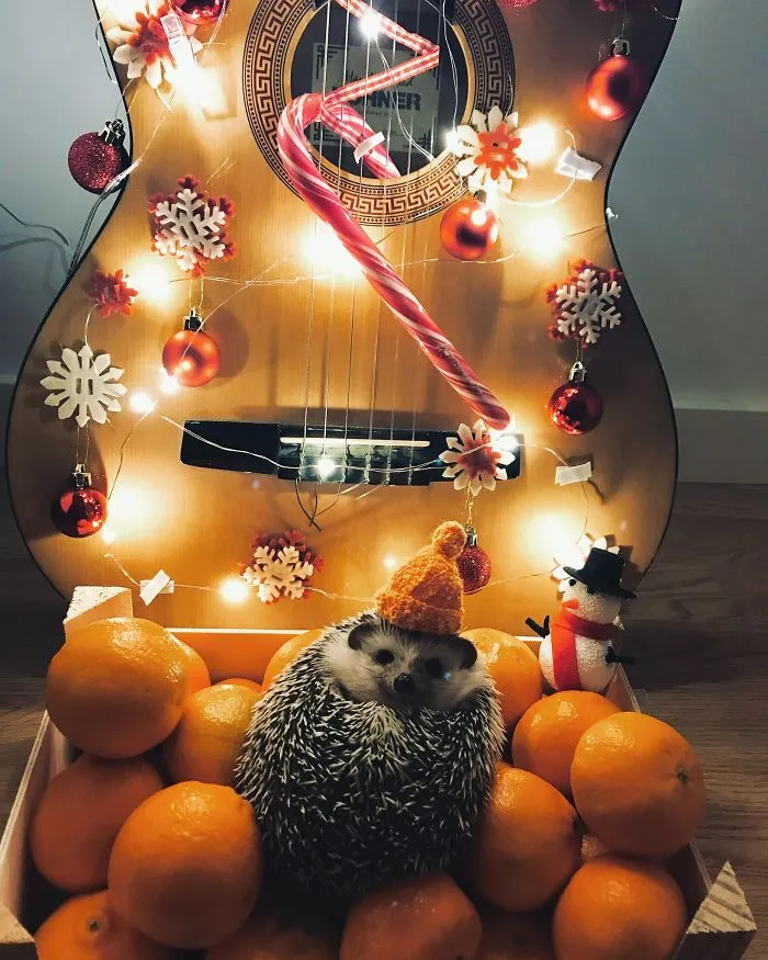 Tiny Christmas Miracle