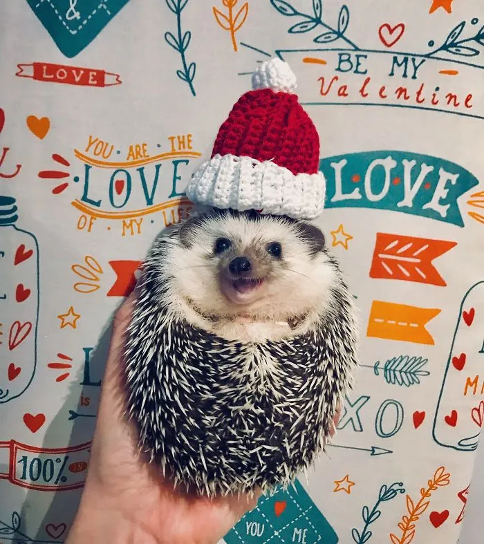 Ho-Ho-Ho!
