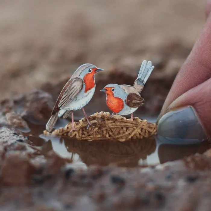 Eurasian Robin