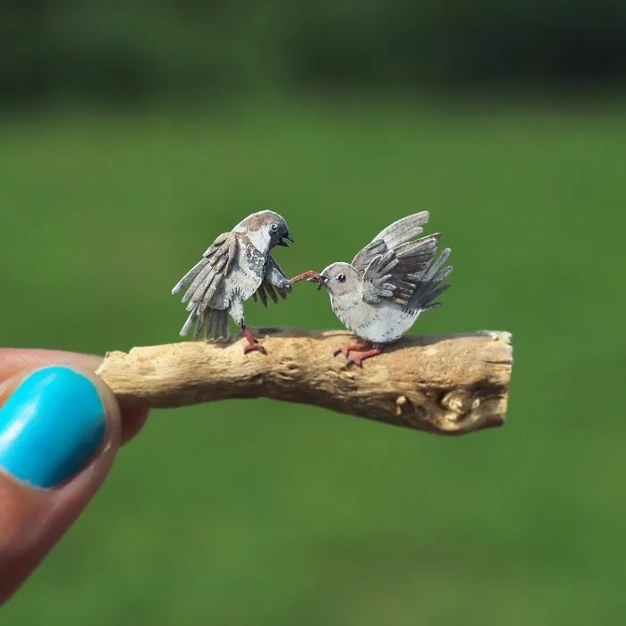 Sparrow Fight