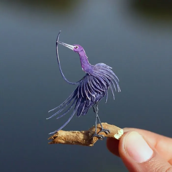 Little Blue Heron