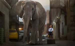 Kids Have The Wildest Imaginations And I Bring Them To Life With Photography