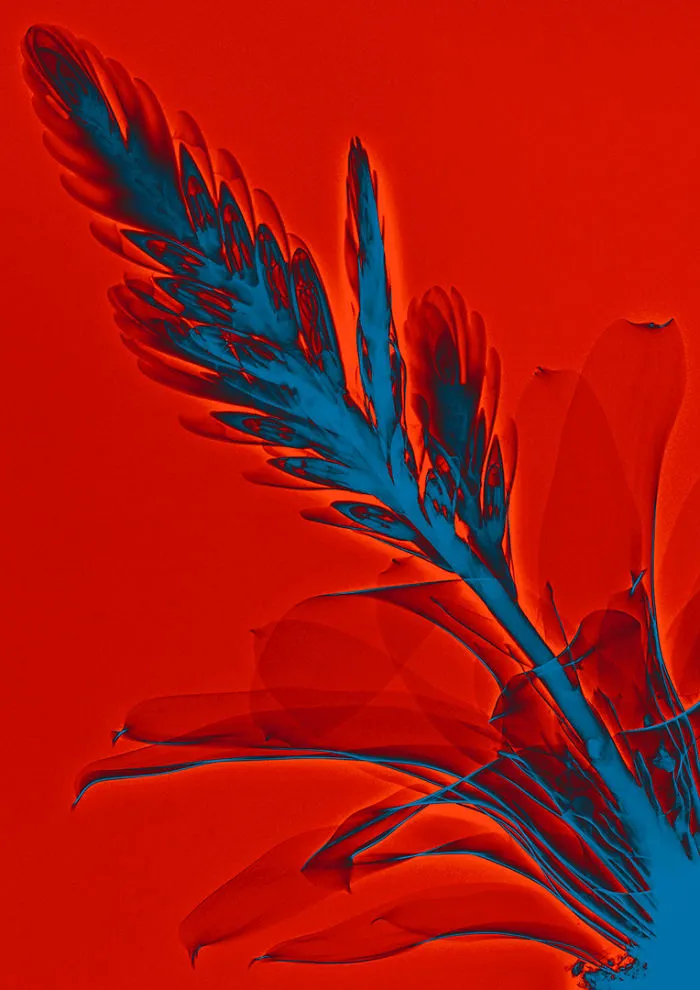 30 Pictures Of Plants That I Took Using X-Ray