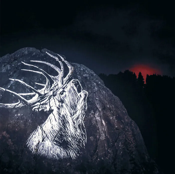 Forest On Fire