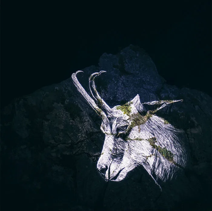 The Chamois