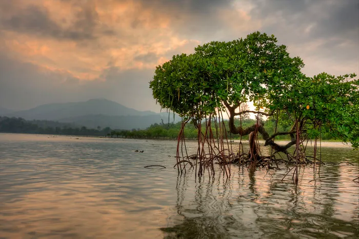I Have Done A Research On Exotic Andaman Islands Where Sentinel Is Located
