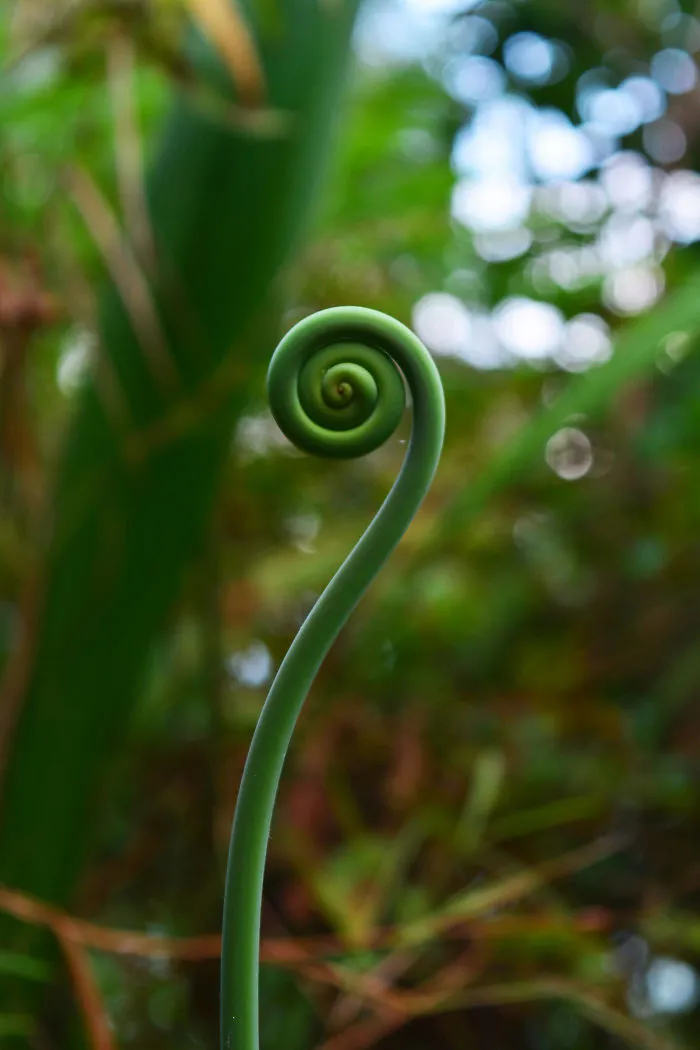 Nature Photography From Darjeeling, West Bengal, And India (24 Pics)