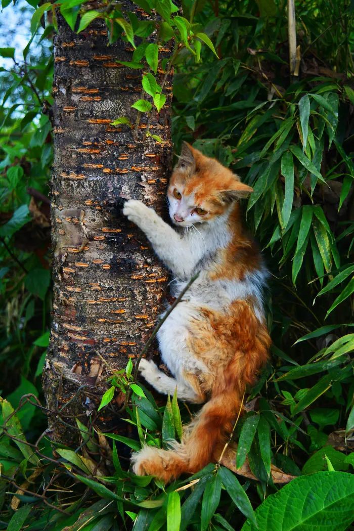 Nature Photography From Darjeeling, West Bengal, And India (24 Pics)