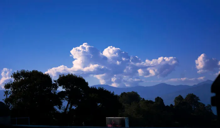 Nature Photography From Darjeeling, West Bengal, And India (24 Pics)