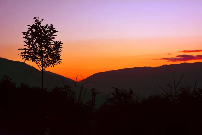 Nature Photography From Darjeeling, West Bengal, And India (24 Pics)