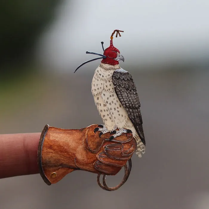 Peregrine Falcon