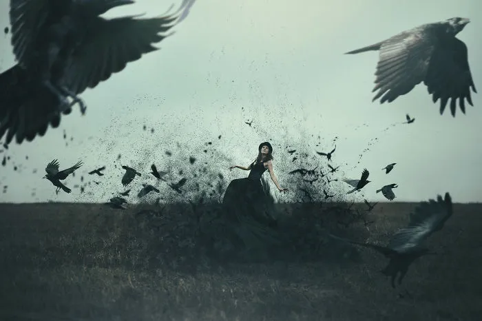 The Dance Of Grace Amidst The Chaos