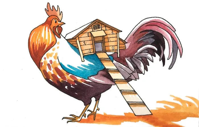 Rooster House