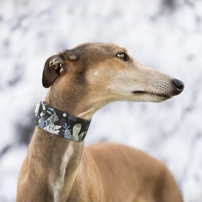 We Are The Sighthound Squad And We Explore Lithuania With Our Lovely Dogs