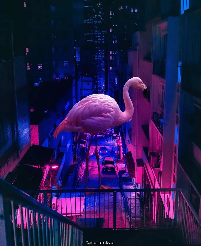 I'm A 19-Year-Old Turkish Guy Who Turns His Dreams Into Pictures (48 Pics)