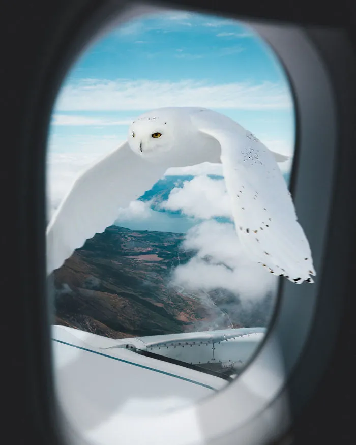 I'm A 19-Year-Old Turkish Guy Who Turns His Dreams Into Pictures (48 Pics)