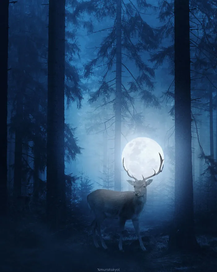 I'm A 19-Year-Old Turkish Guy Who Turns His Dreams Into Pictures (48 Pics)