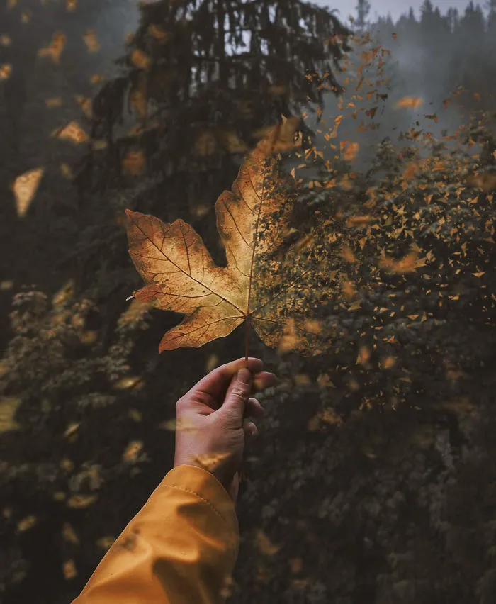 I'm A 19-Year-Old Turkish Guy Who Turns His Dreams Into Pictures (48 Pics)