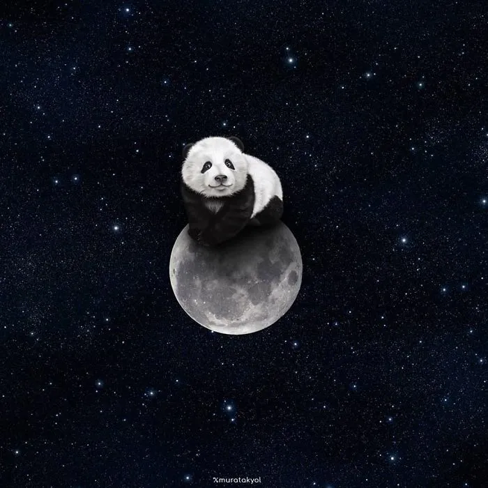 I'm A 19-Year-Old Turkish Guy Who Turns His Dreams Into Pictures (48 Pics)