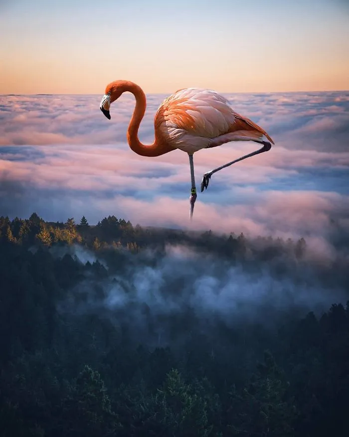 I'm A 19-Year-Old Turkish Guy Who Turns His Dreams Into Pictures (48 Pics)