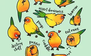 Artist Draws Illustrations About Owning A Pet Bird And The Results Are Too Cute