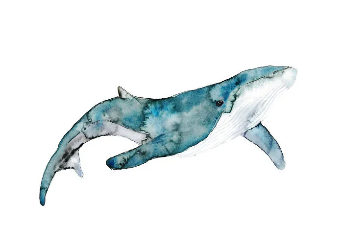 Having A Whale Of A Time!