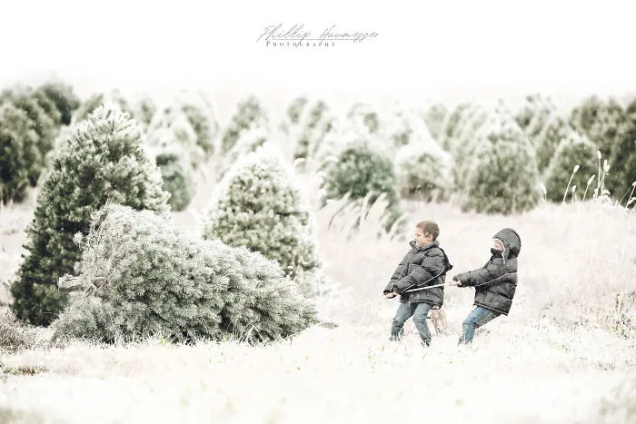 My Winter Photos That Will Get You In The Holiday Mood