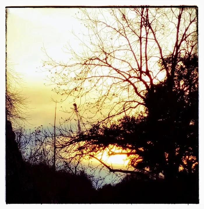 Shot From The Front Yard Today