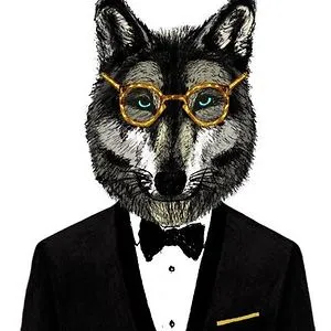 Mr. Wolf