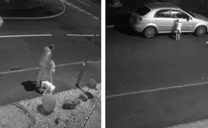 Dog Doesn’t Realize He Is Being Abandoned, Desperately Tries To Get Back In Car