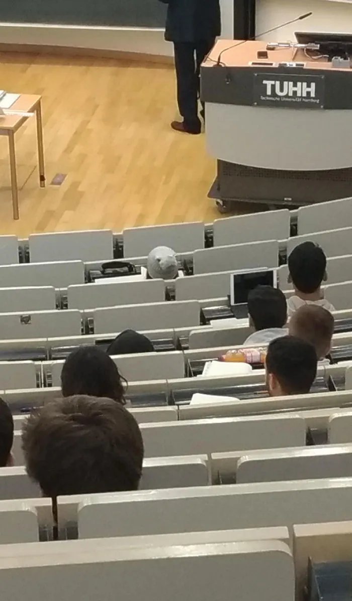 Hay una foca en clase