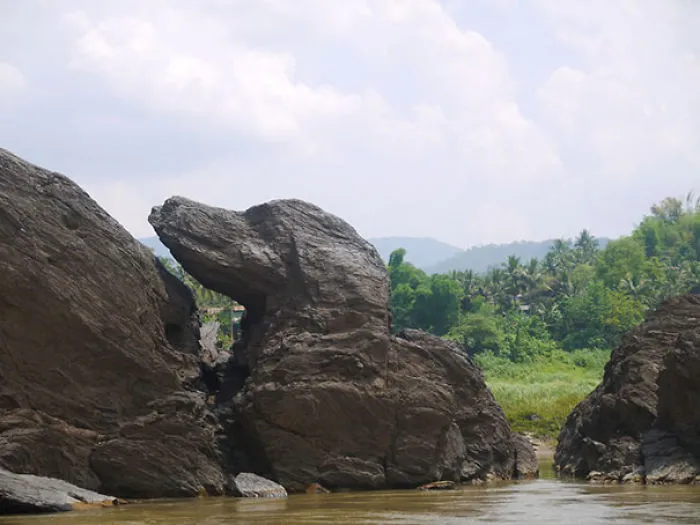 This Rock Resembles A Dog