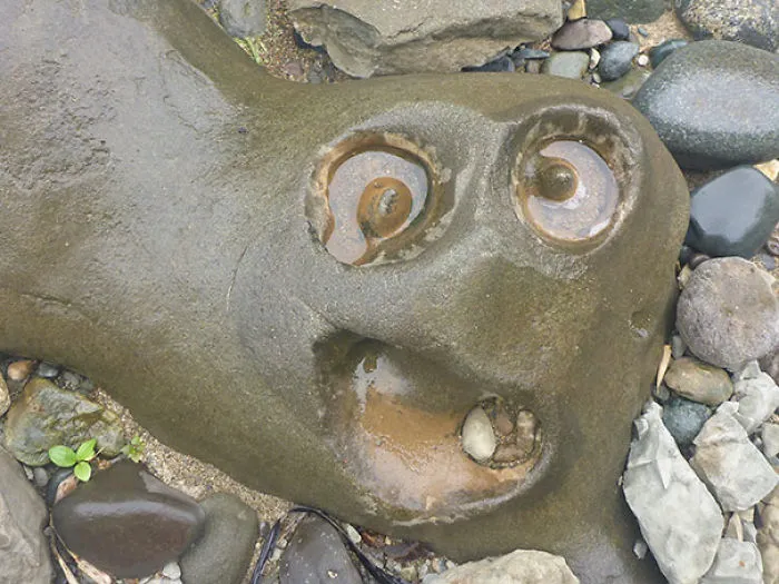 This Eroded Rock