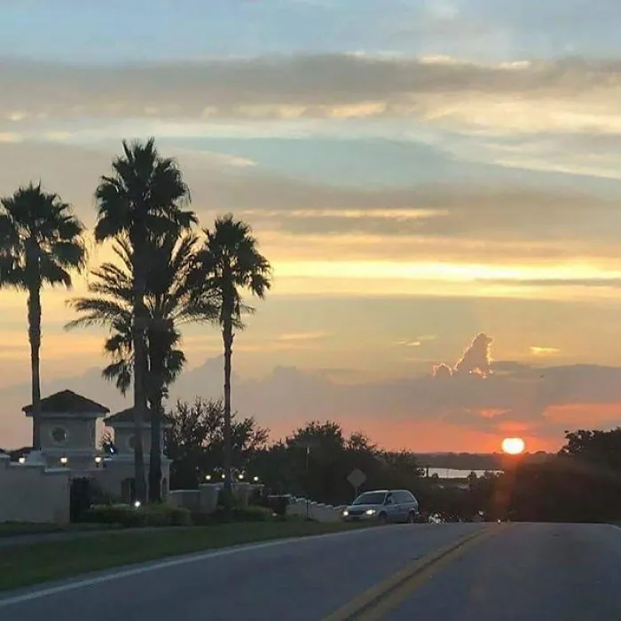 All Dogs Go To Heaven