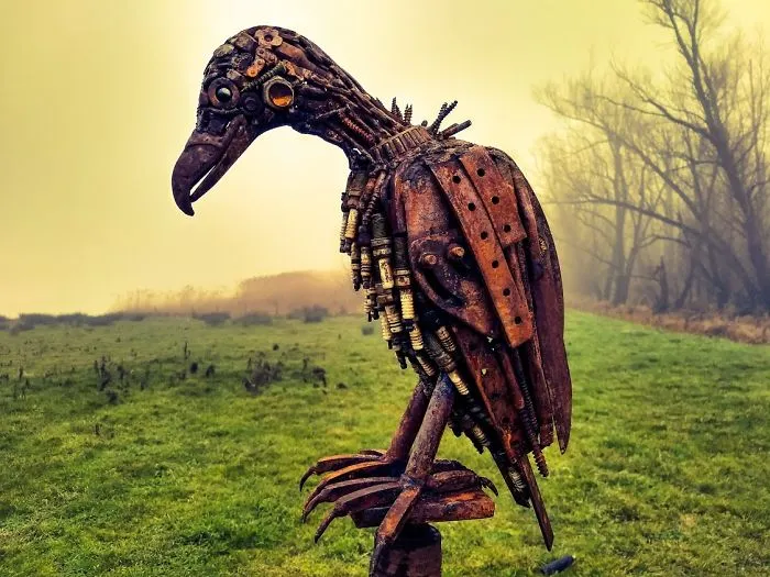 Ari The Vulture