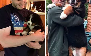 30 Photos Of Dogs Growing Up Next To Their Owners