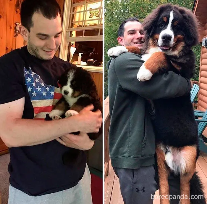 6 semanas VS 6 meses