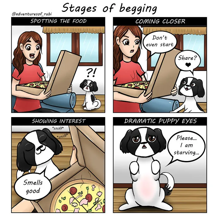My 29 Comics That Every Dog Owner Will Understand