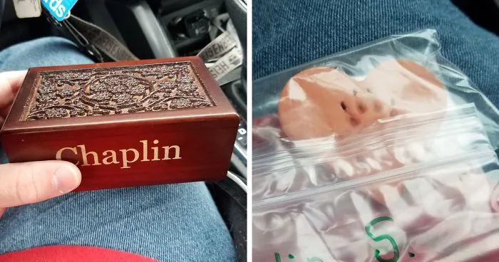 After This Man's Cat Was Put Down At The Vet, He Received A Heartwarming Gift Including Ashes, Fur And A Paw With Seeds