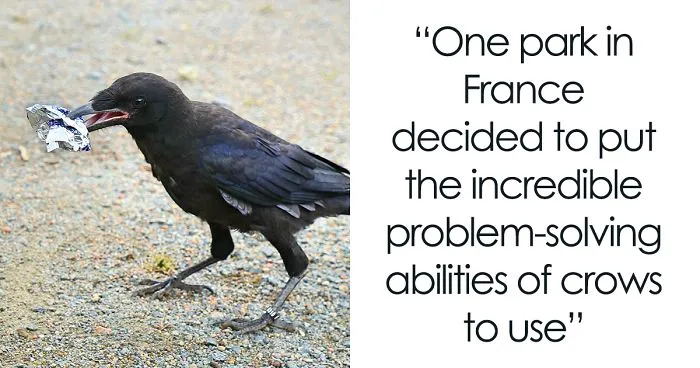 This French Theme Park Has 6 Crow 'Employees' Who Pick Up Trash