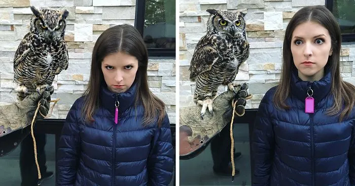 25 Times Anna Kendrick Proved She's A Real-Life Disney Princess