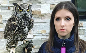 25 Times Anna Kendrick Proved She's A Real-Life Disney Princess